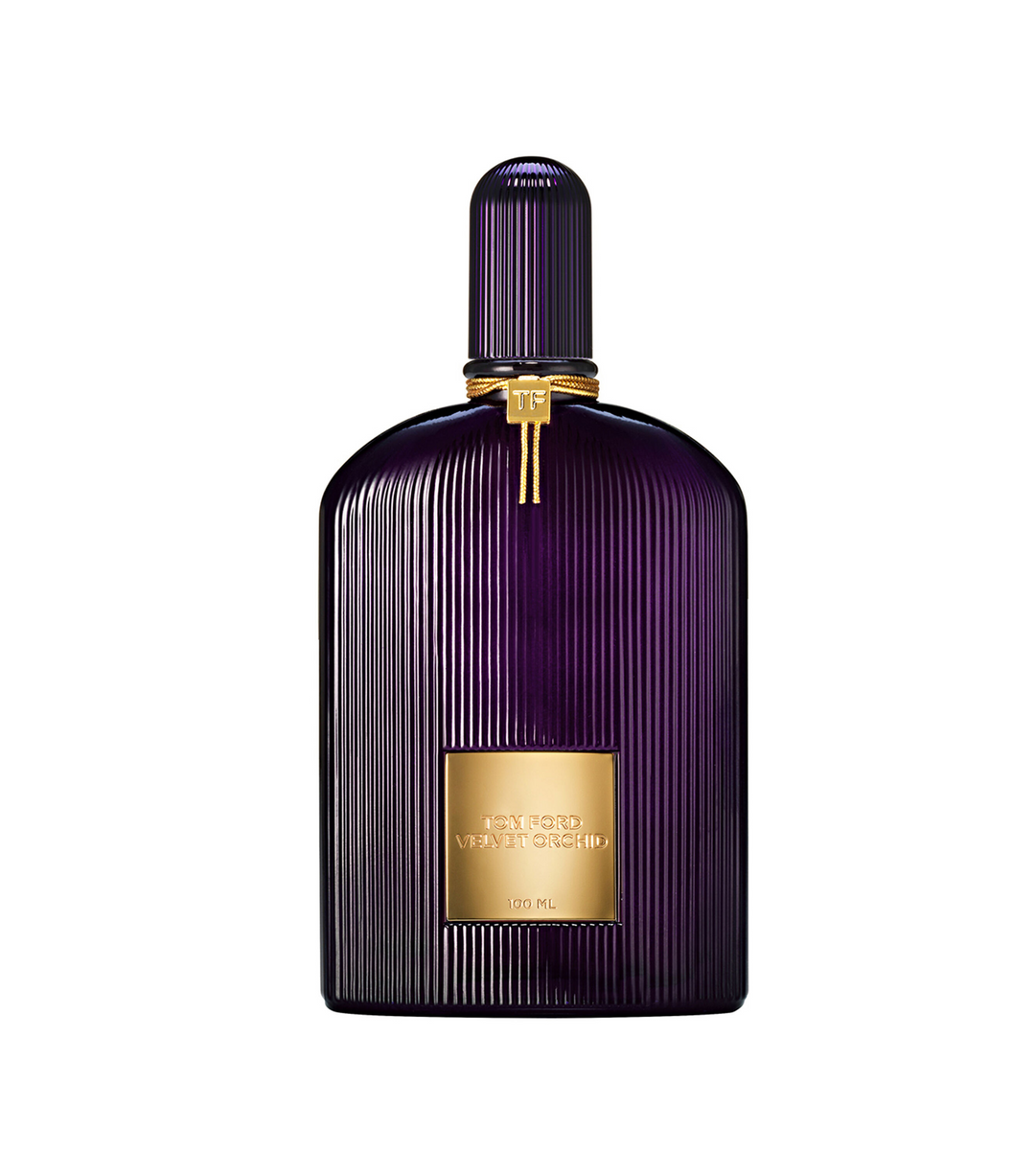 Velvet Orchid